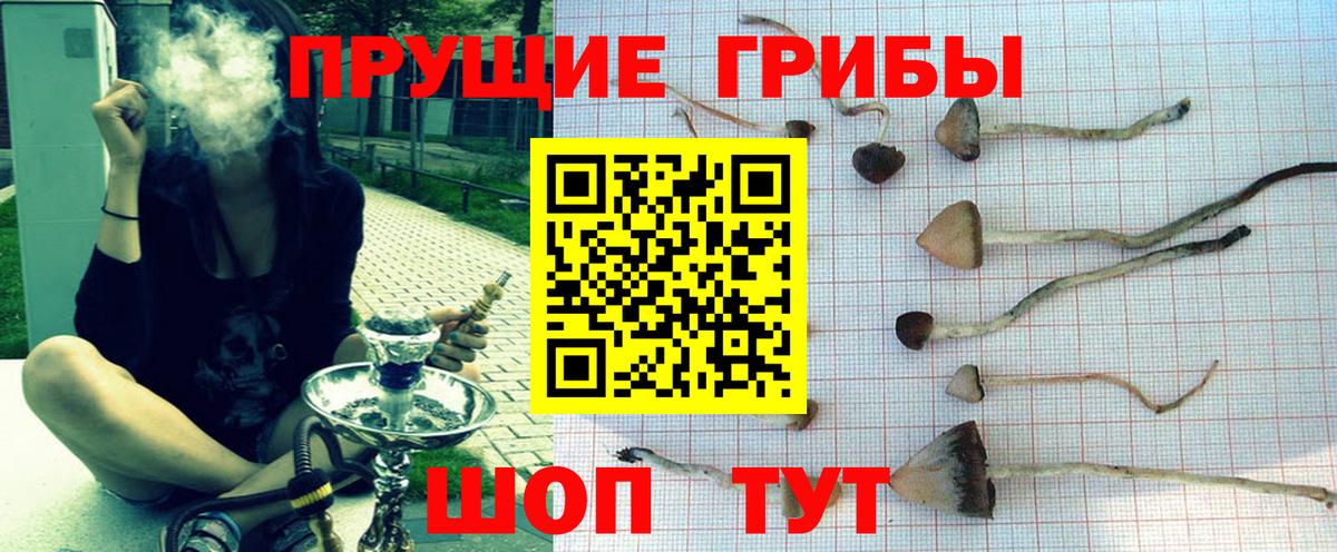 Галлюциногенные грибы мухоморы  Вход с VPN  Туапсе  Галлюциногенные грибы Magic Shrooms 